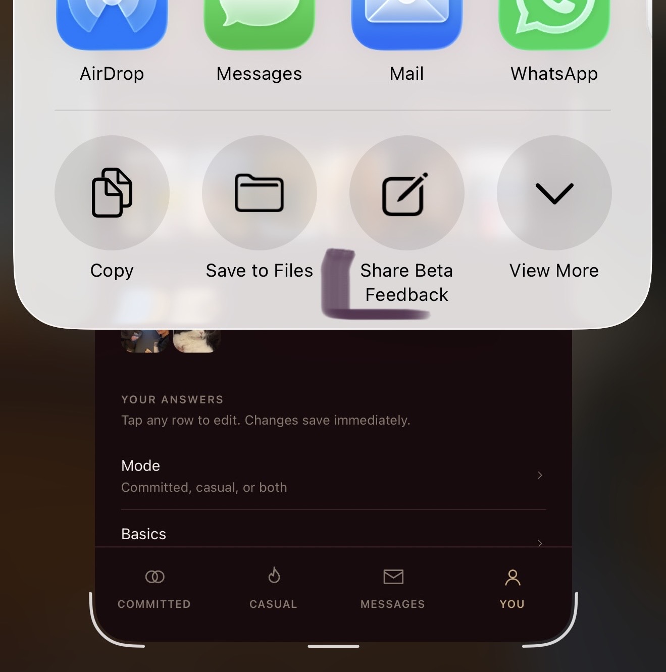 iOS share sheet with Share Beta Feedback highlighted
